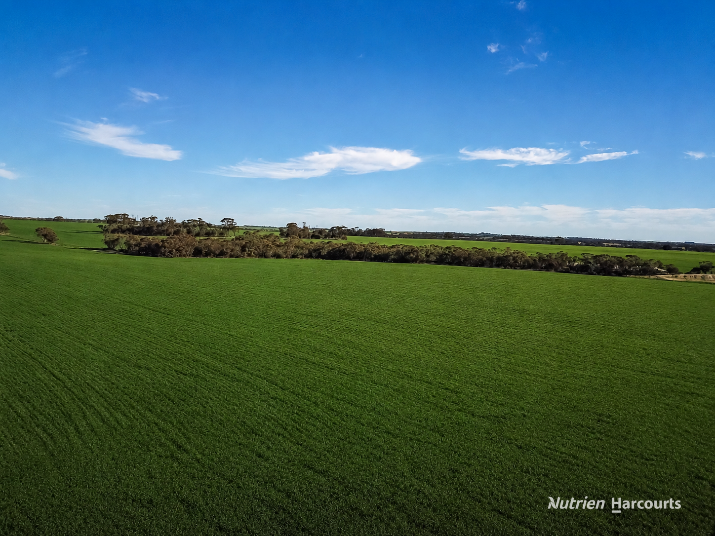 . "WIMBURRA AGGREGATION", Gnowangerup For Sale by Farmbuy.com - image 4