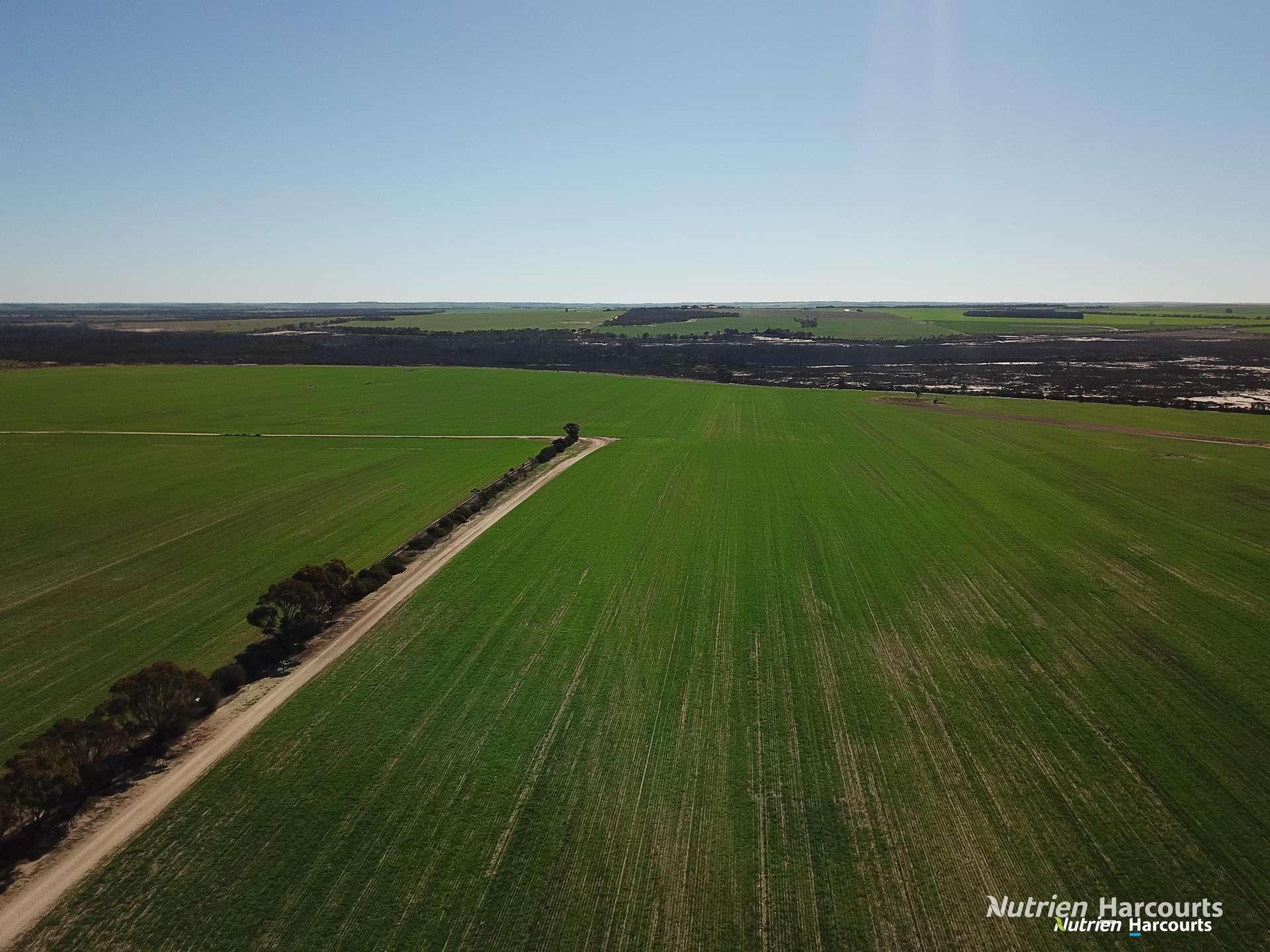 . "WIMBURRA AGGREGATION", Gnowangerup For Sale by Farmbuy.com - image 7