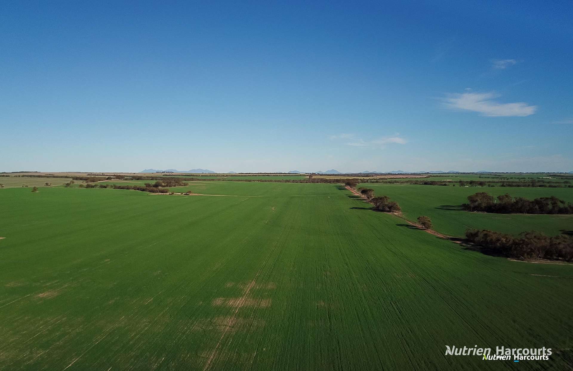 . "WIMBURRA AGGREGATION", Gnowangerup For Sale by Farmbuy.com - image 21