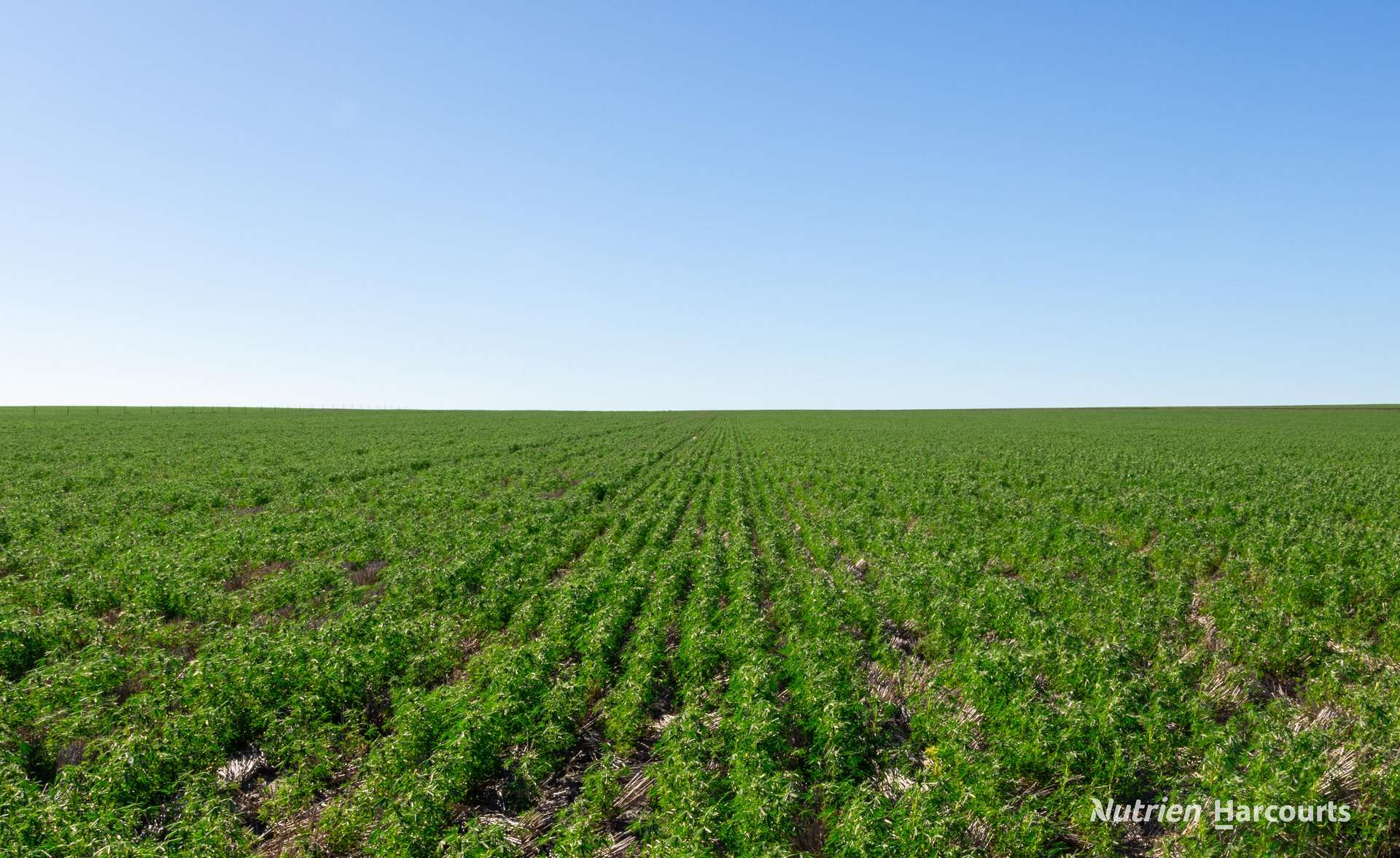 . "WIMBURRA AGGREGATION", Gnowangerup For Sale by Farmbuy.com - image 5