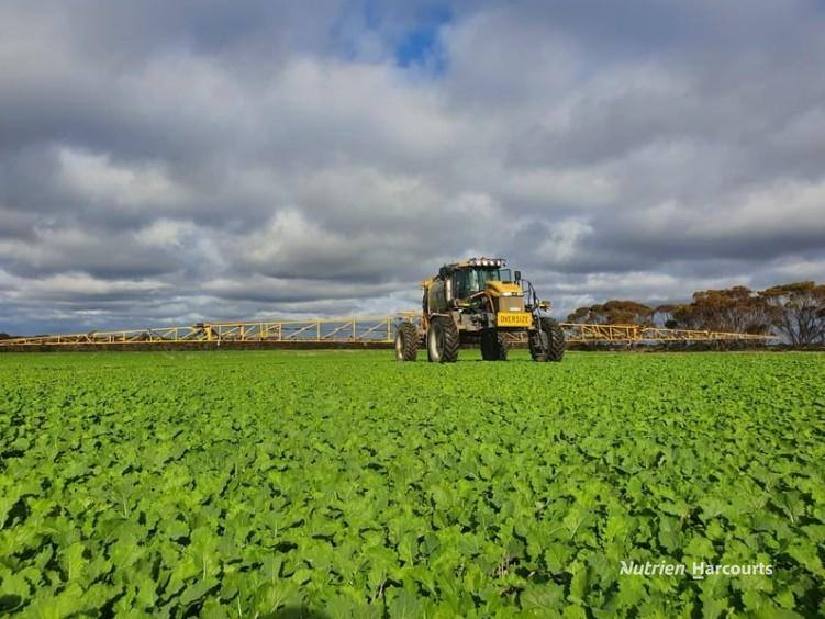. "WIMBURRA AGGREGATION", Gnowangerup For Sale by Farmbuy.com - image 23