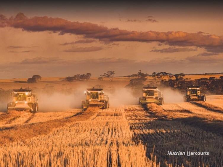 . "WIMBURRA AGGREGATION", Gnowangerup For Sale by Farmbuy.com - image 11