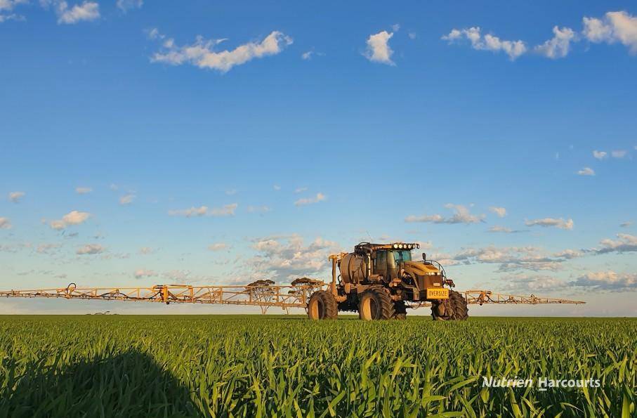 . "WIMBURRA AGGREGATION", Gnowangerup For Sale by Farmbuy.com - image 13