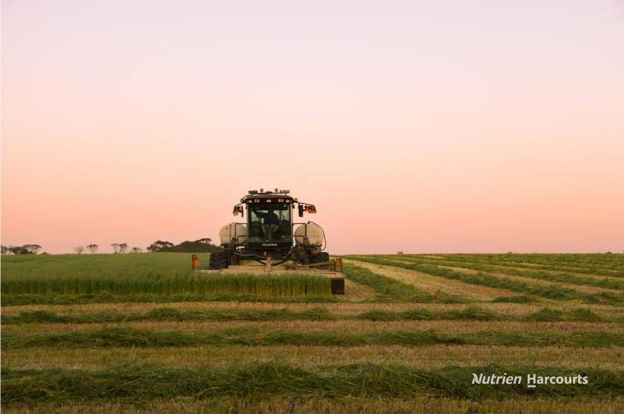 . "WIMBURRA AGGREGATION", Gnowangerup For Sale by Farmbuy.com - image 9