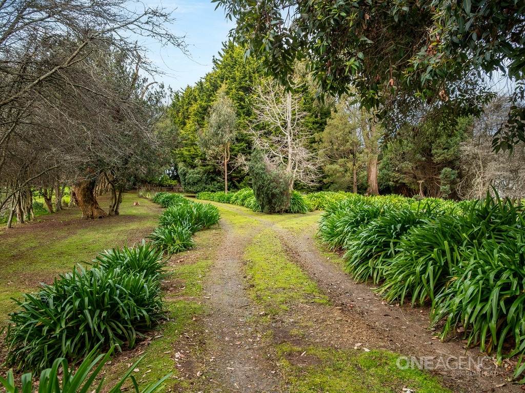 609 West Montagu Road, West Montagu For Sale by Farmbuy.com - image 30