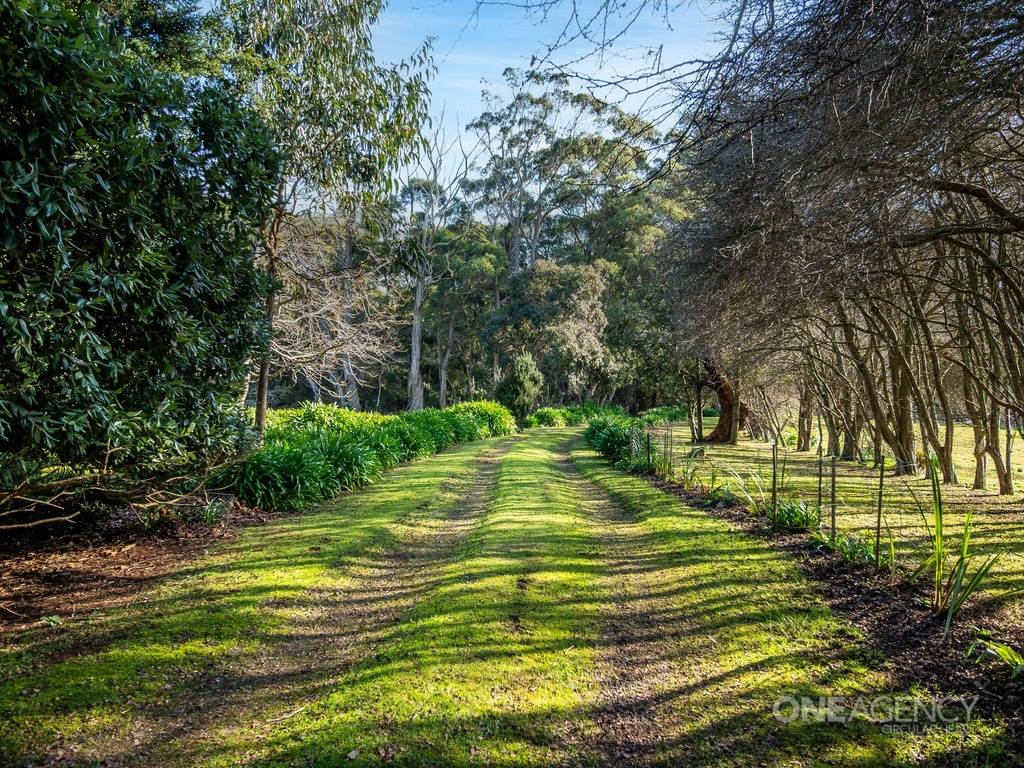 609 West Montagu Road, West Montagu For Sale by Farmbuy.com - image 31