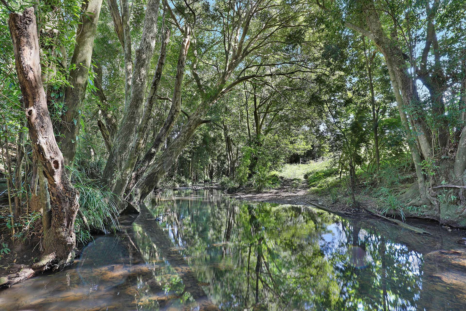 642 Nambour Mapleton Road, Kureelpa For Sale by Farmbuy.com - image 28