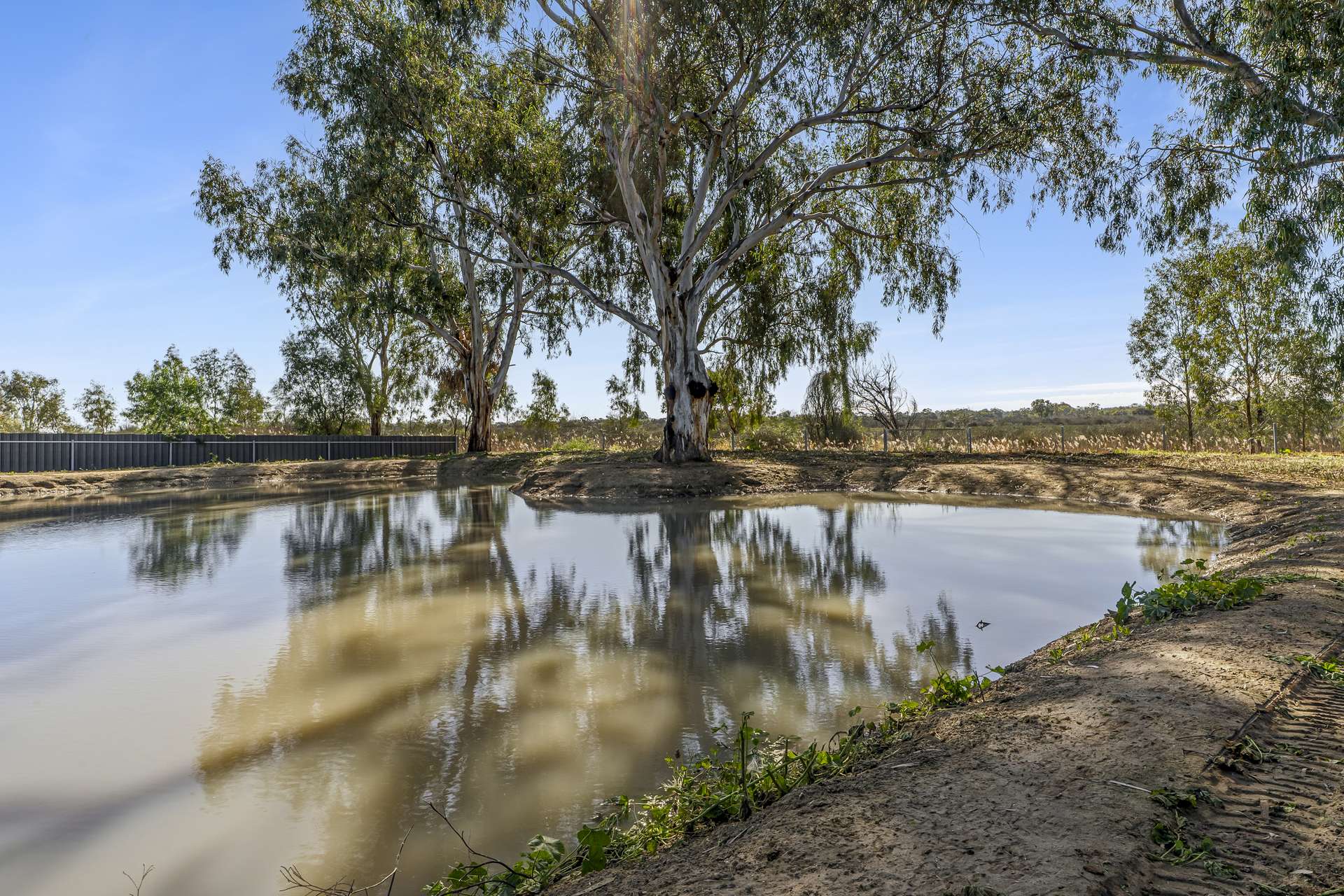 232 Begara Street, Renmark For Sale by Farmbuy.com - image 5