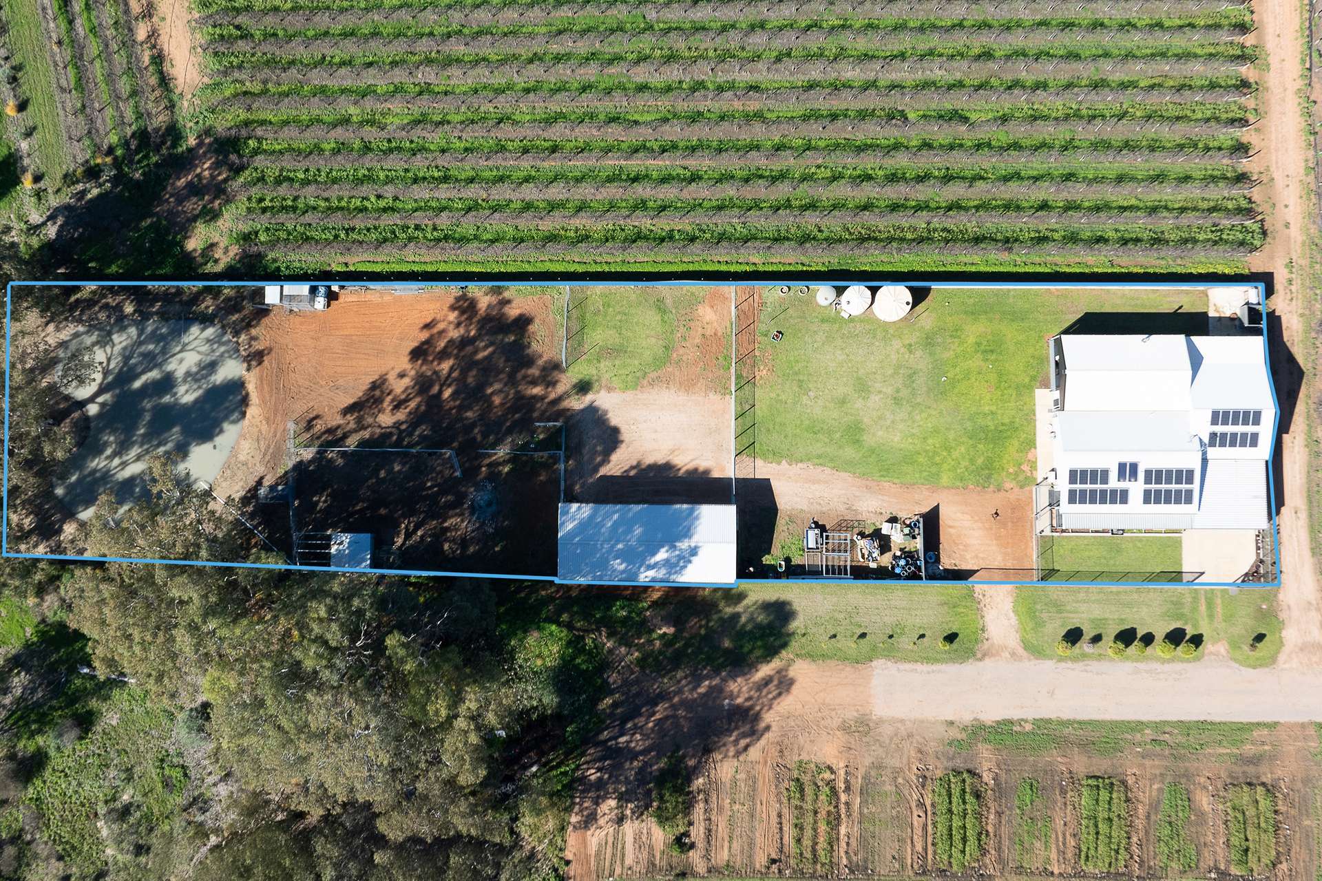 232 Begara Street, Renmark For Sale by Farmbuy.com - image 4