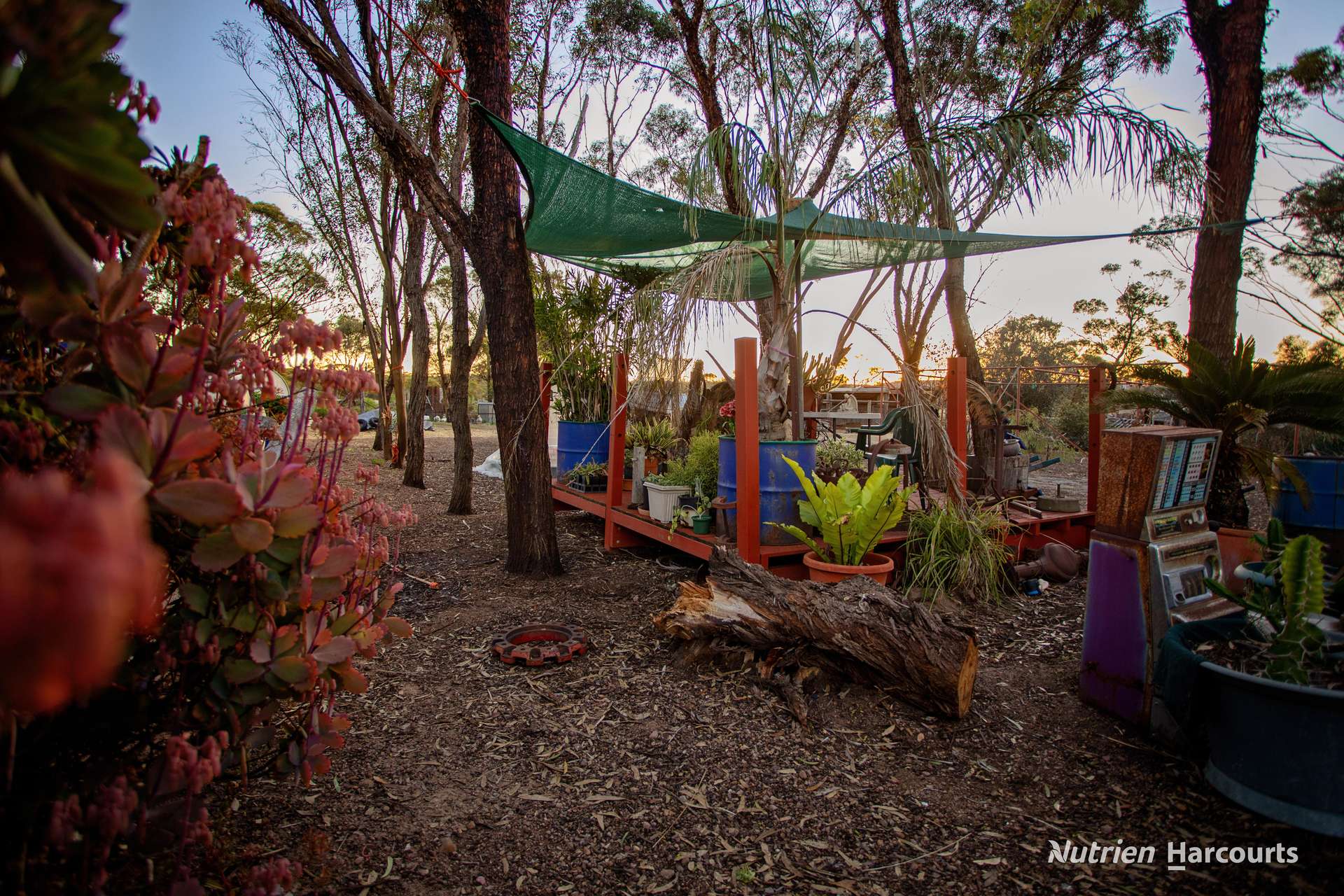 4645 Hopetoun-Ravensthorpe Road, Ravensthorpe For Sale by Farmbuy.com - image 6