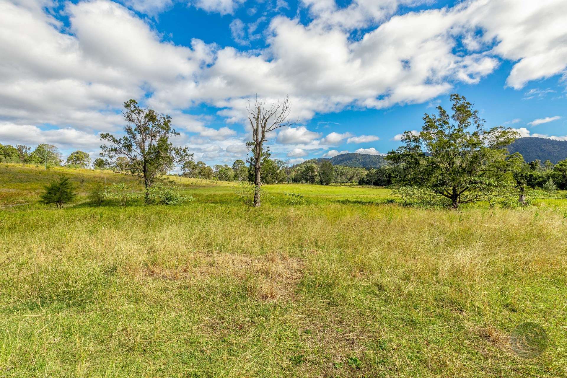 481 Glastonbury Creek Road, Upper Glastonbury For Sale by Farmbuy.com - image 23