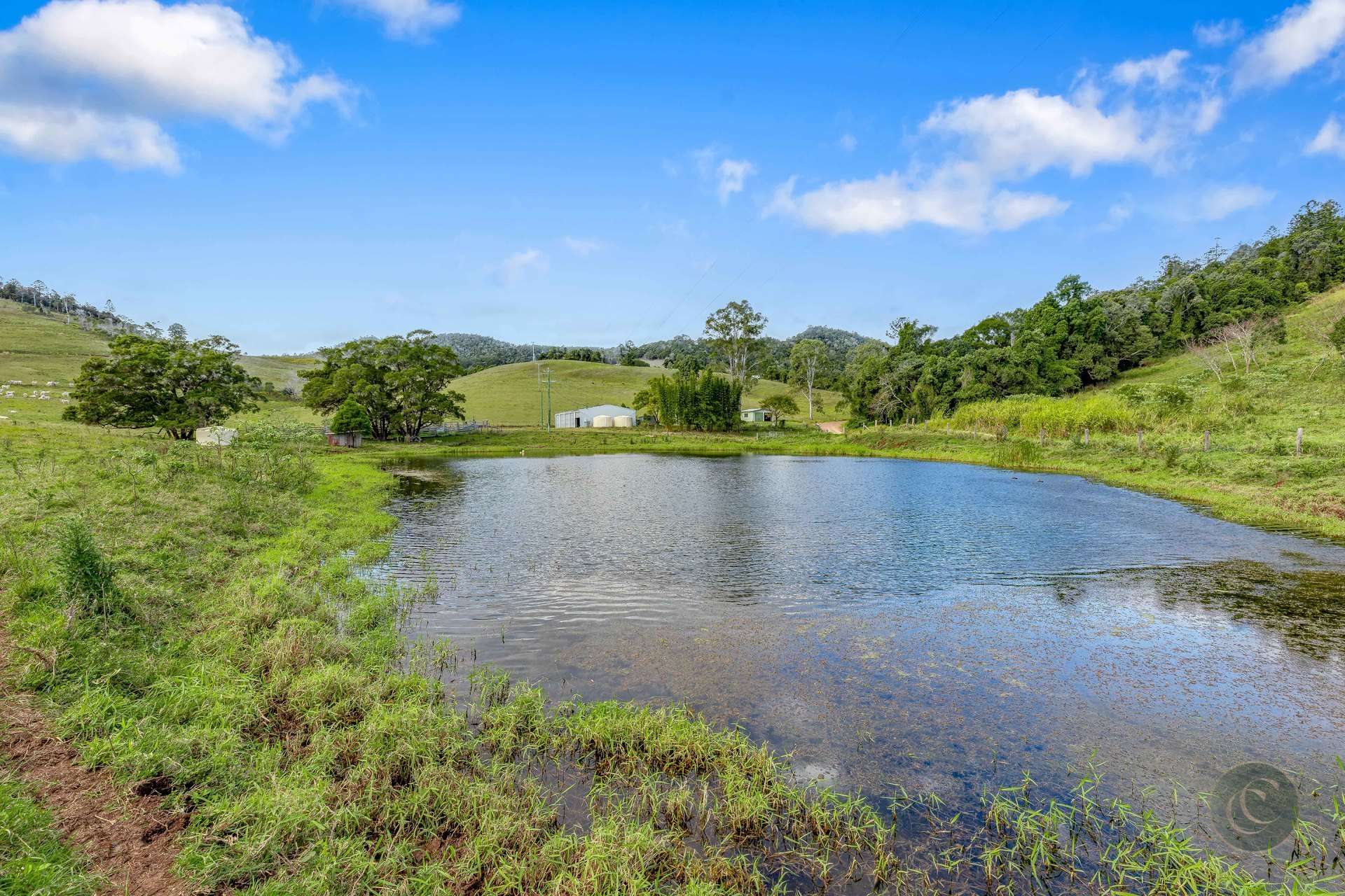 61 Euston Road, Glastonbury For Sale by Farmbuy.com - image 16