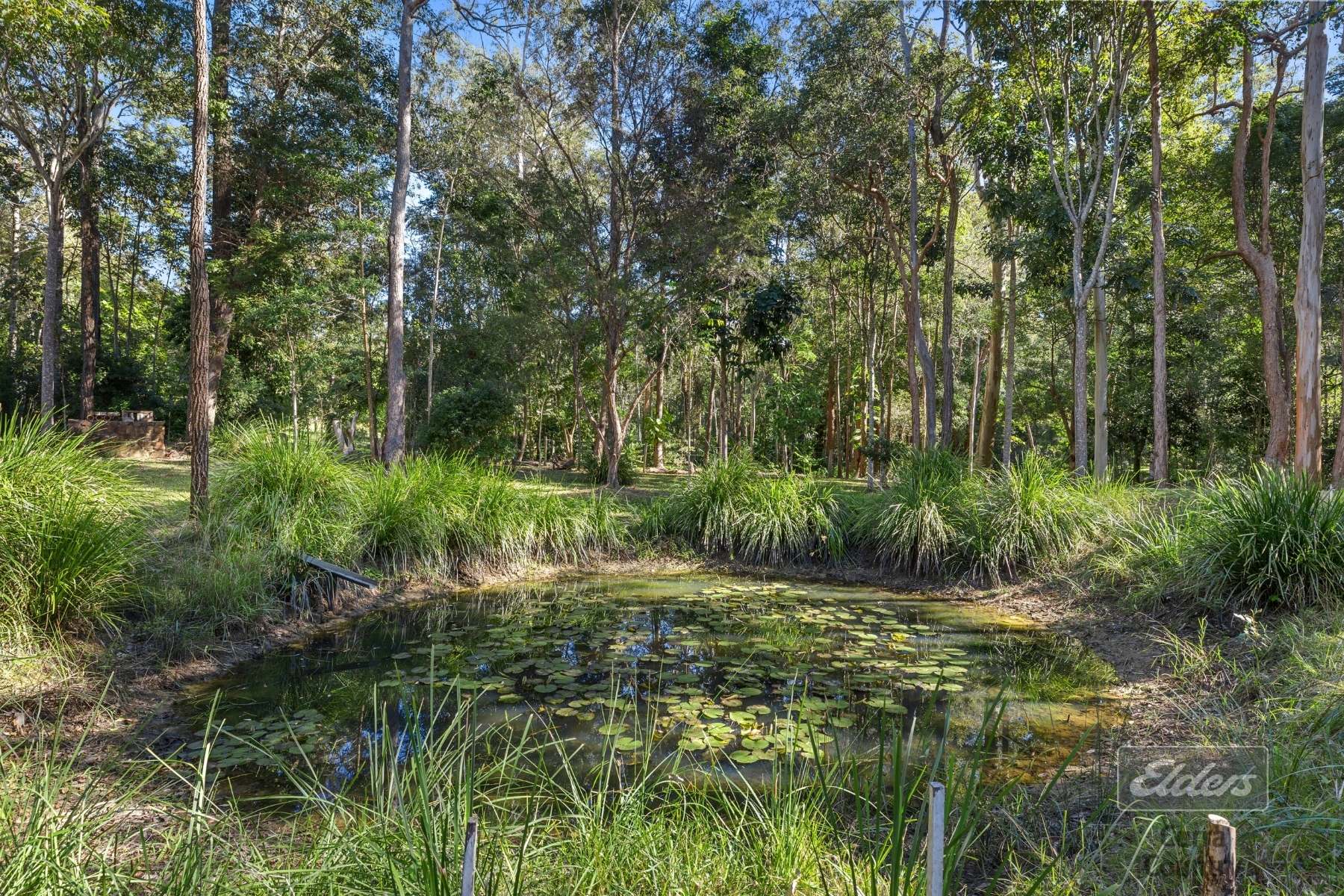 69 Faine Road, Bauple For Sale by Farmbuy.com - image 15
