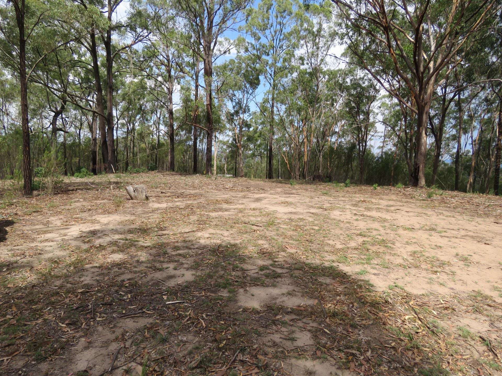 350 Moores Road, Laguna For Sale by Farmbuy.com - image 3