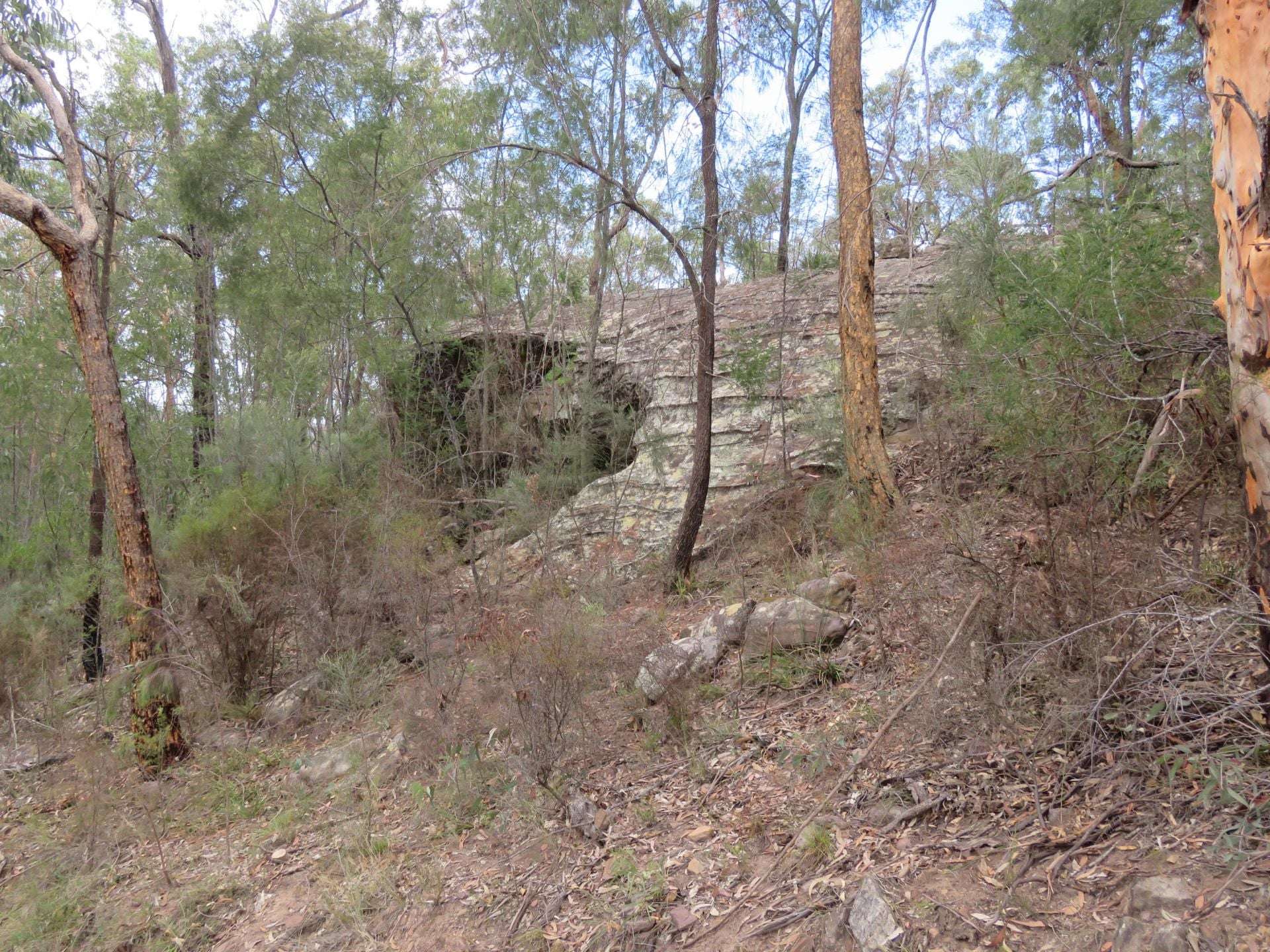 350 Moores Road, Laguna For Sale by Farmbuy.com - image 8