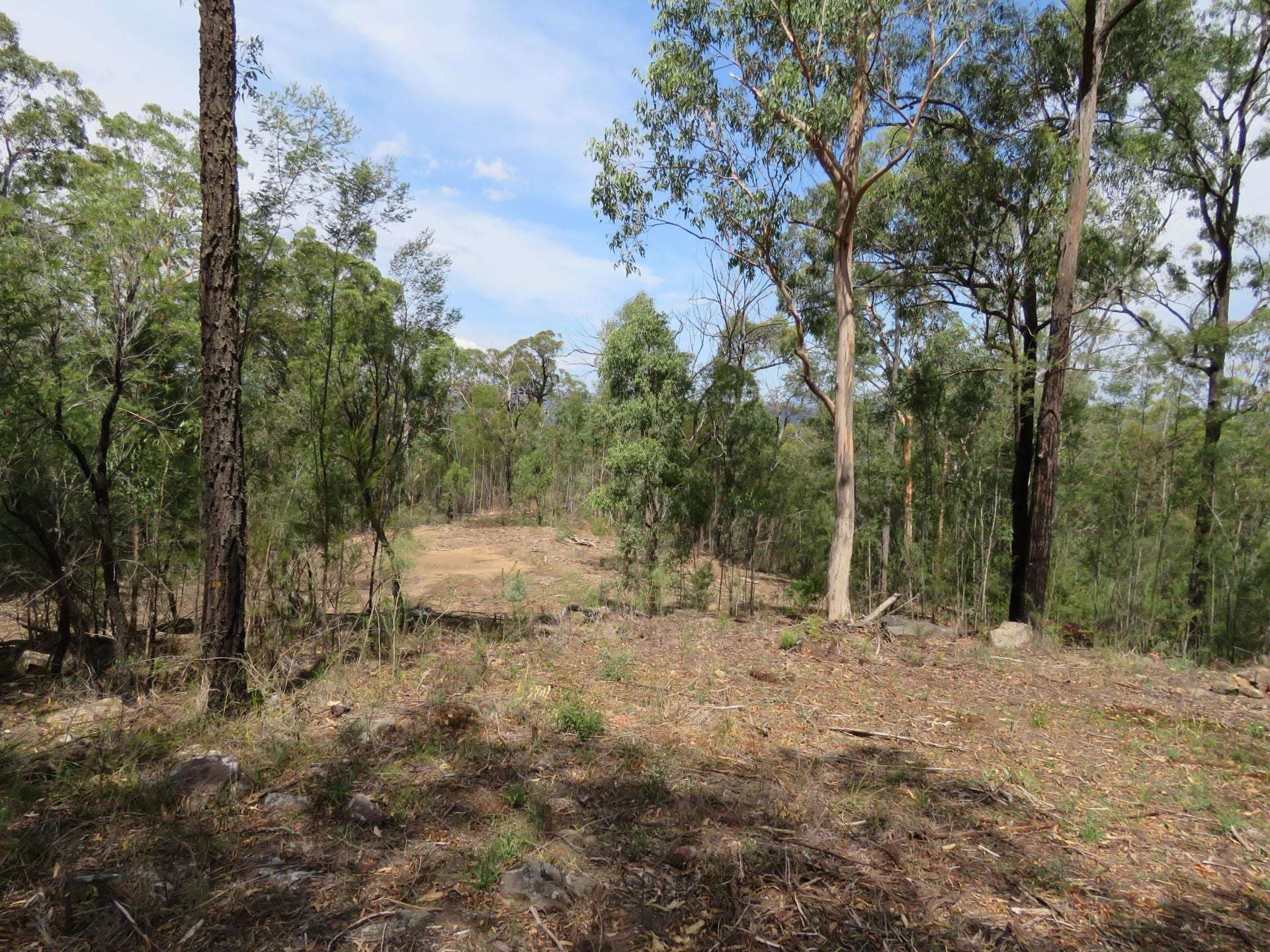 350 Moores Road, Laguna For Sale by Farmbuy.com - image 7