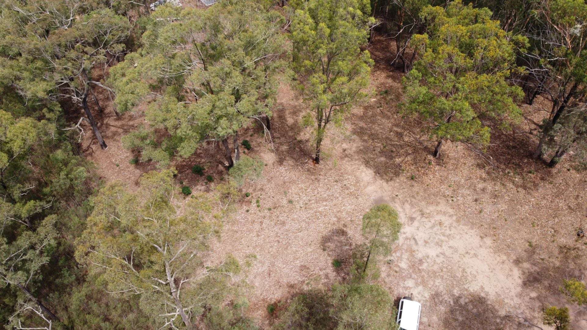 350 Moores Road, Laguna For Sale by Farmbuy.com - image 8