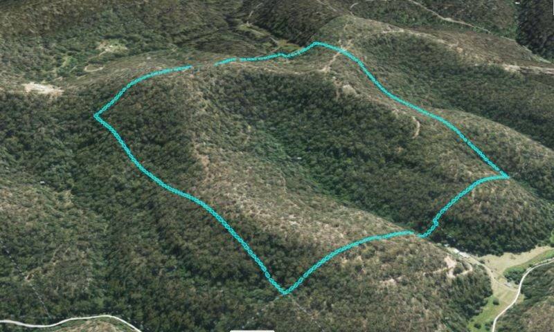 350 Moores Road, Laguna For Sale by Farmbuy.com - image 12