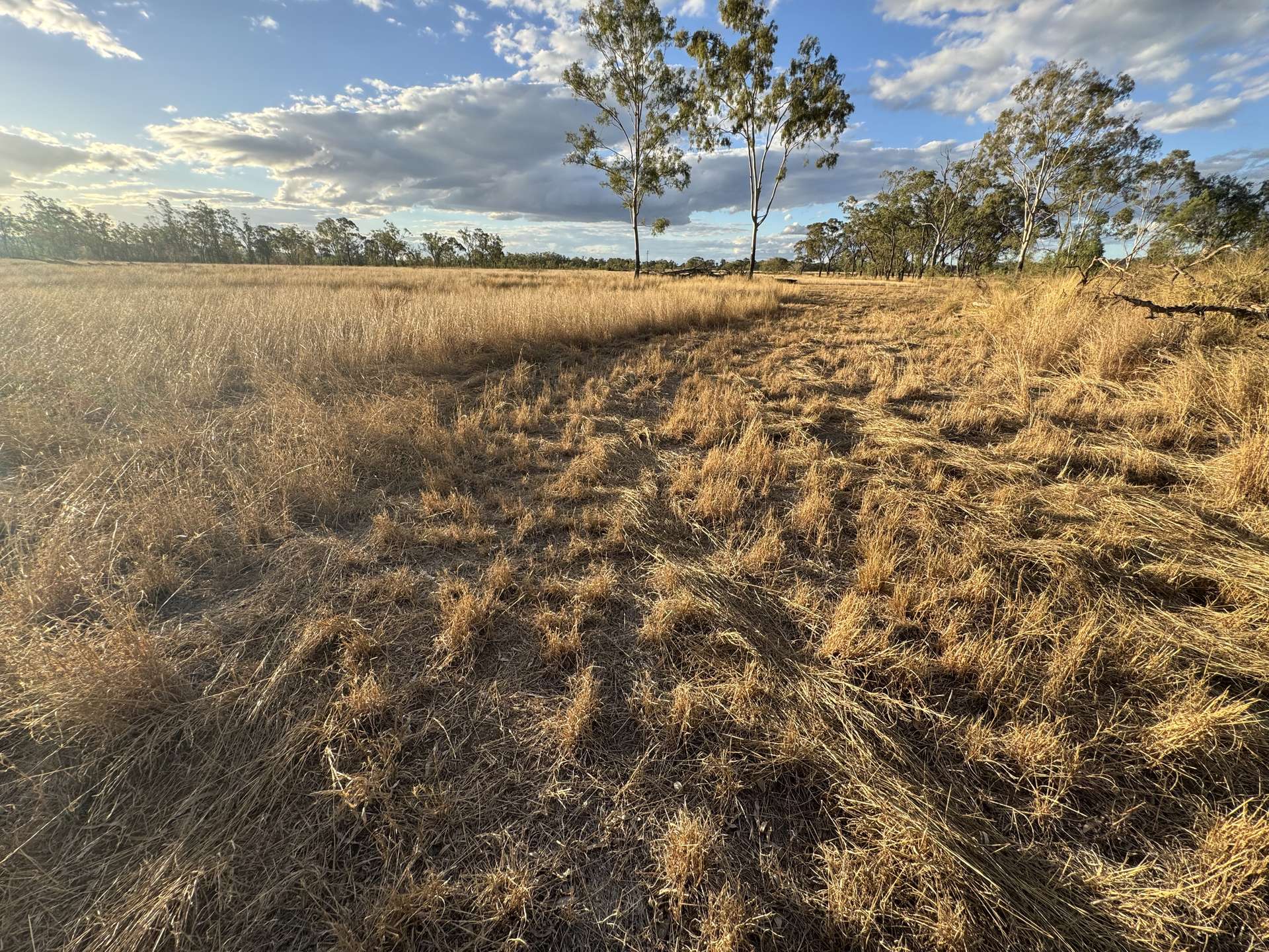 Lot 75 Little Road, Westwood For Sale by Farmbuy.com - image 20
