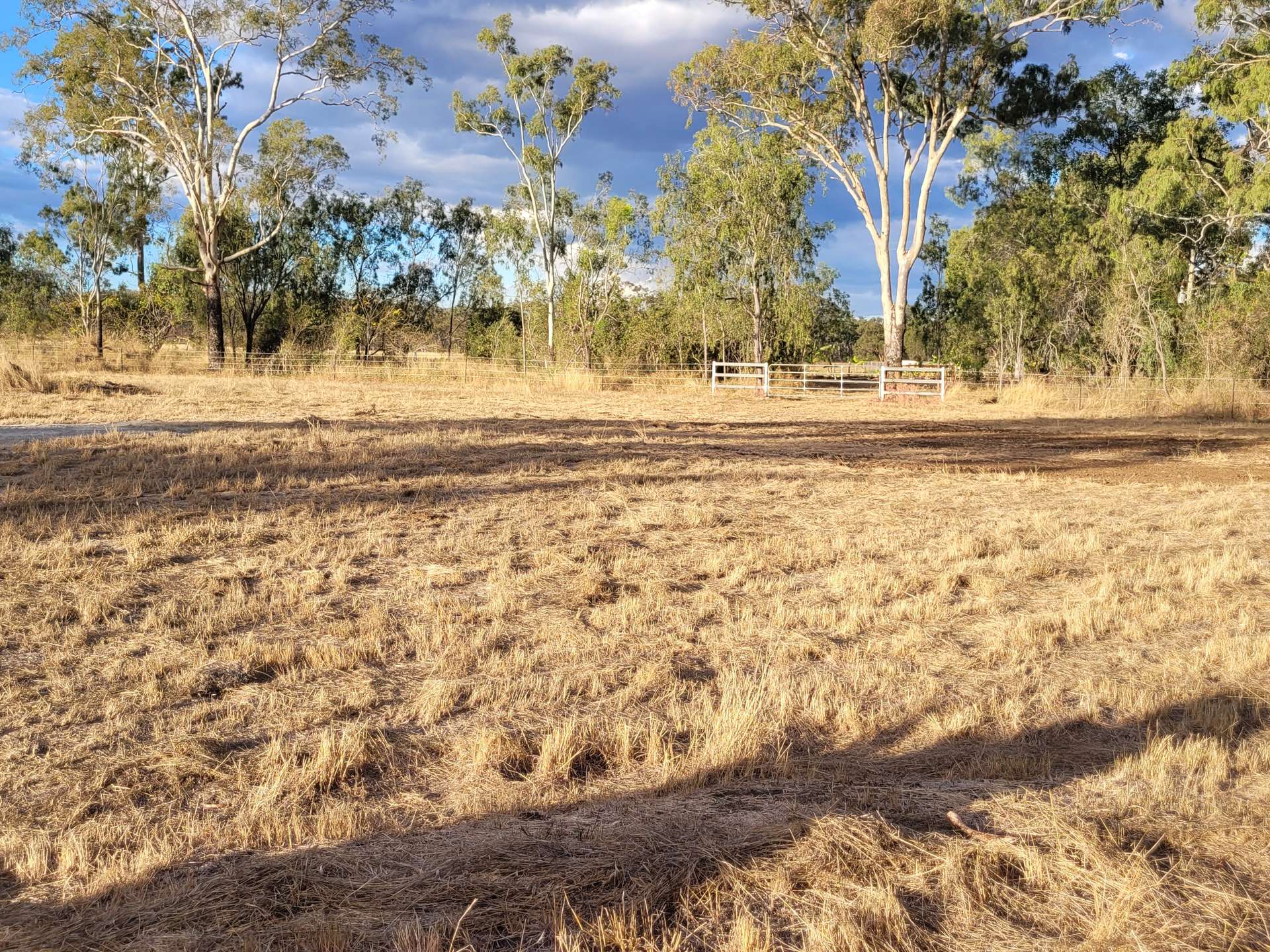 Lot 75 Little Road, Westwood For Sale by Farmbuy.com - image 22