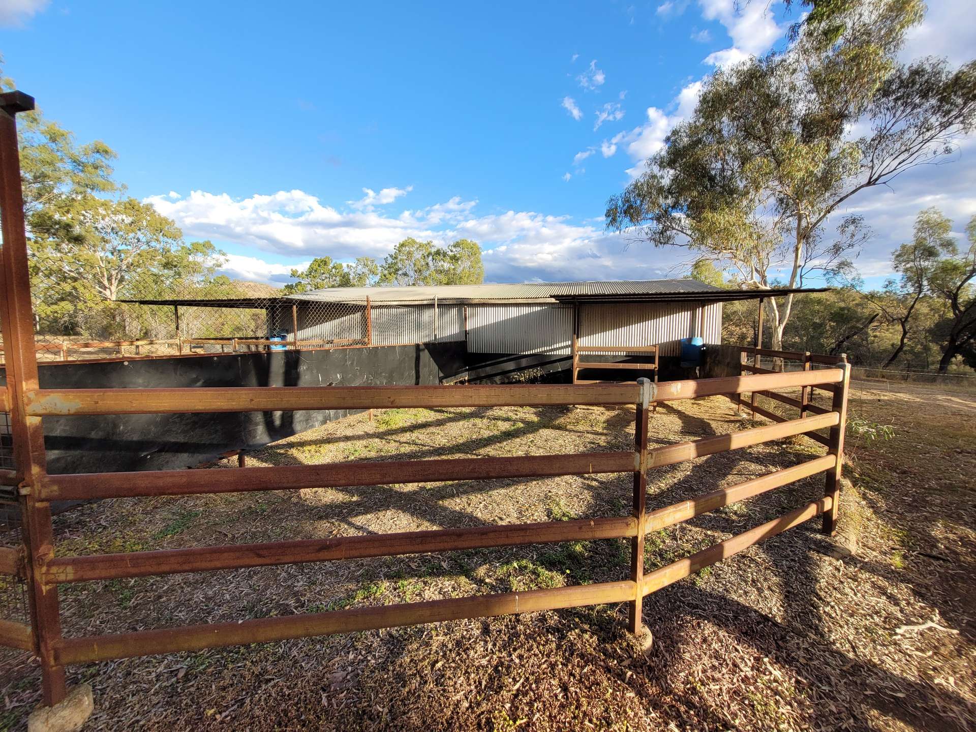 Lot 75 Little Road, Westwood For Sale by Farmbuy.com - image 4