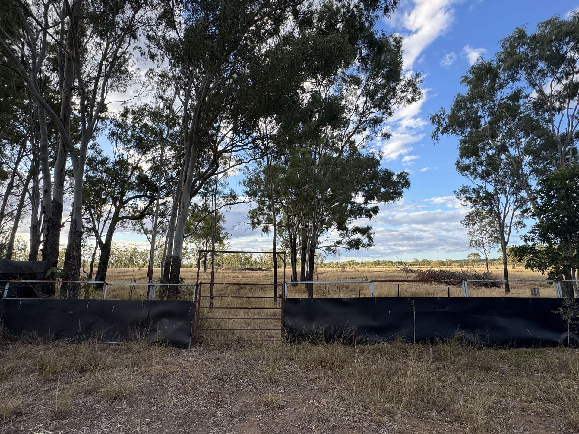 Lot 75 Little Road, Westwood For Sale by Farmbuy.com - image 17