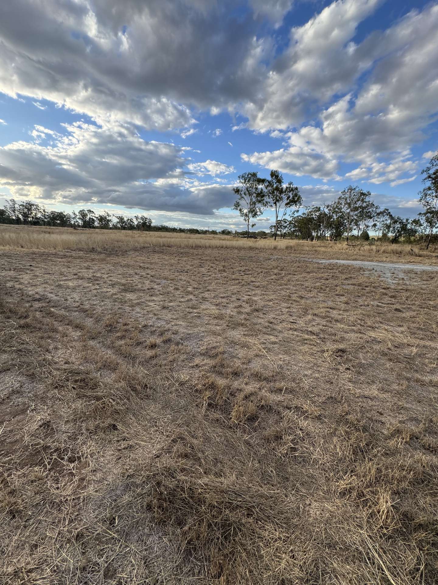 Lot 75 Little Road, Westwood For Sale by Farmbuy.com - image 21