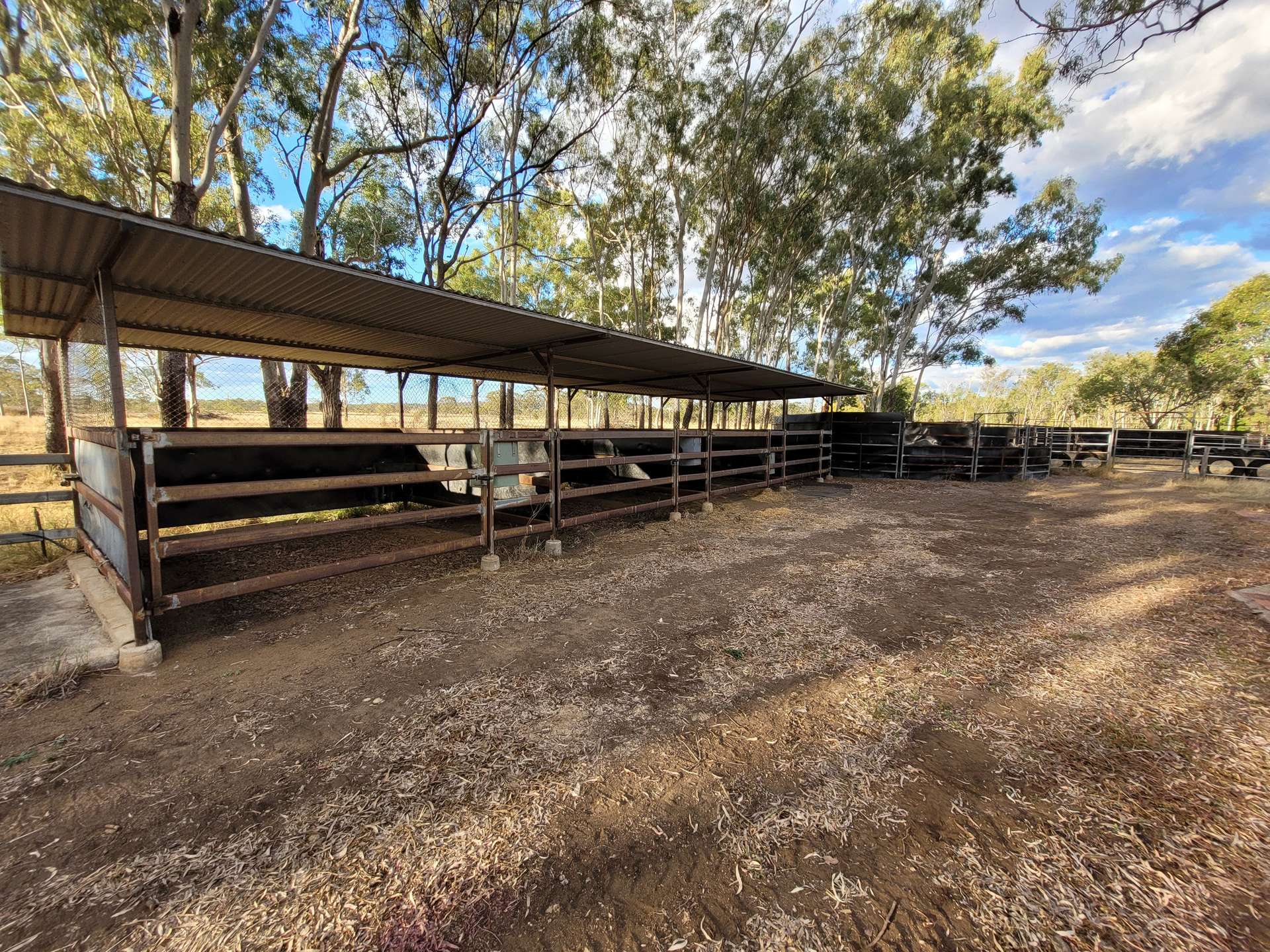 Lot 75 Little Road, Westwood For Sale by Farmbuy.com - image 6