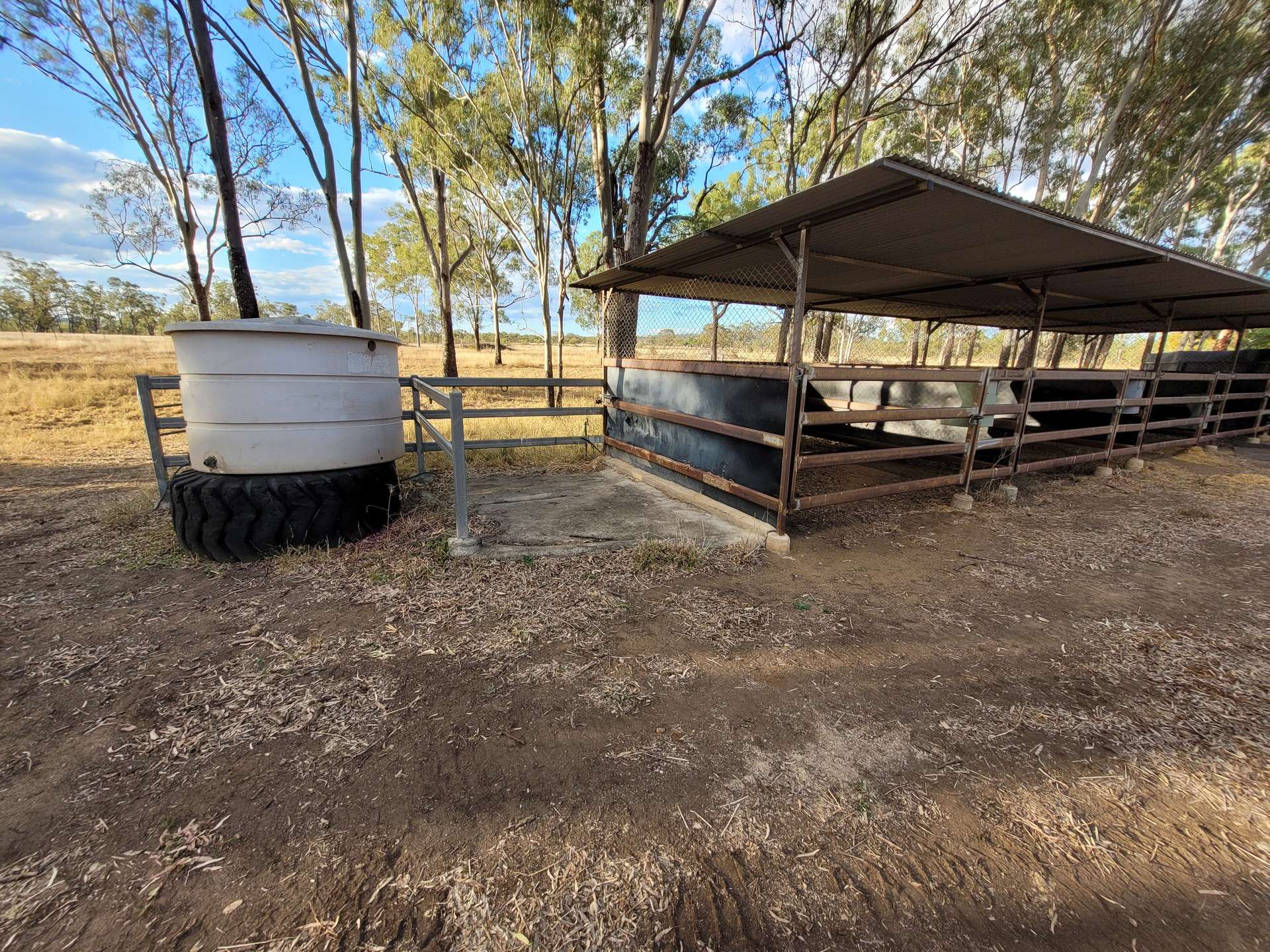 Lot 75 Little Road, Westwood For Sale by Farmbuy.com - image 5