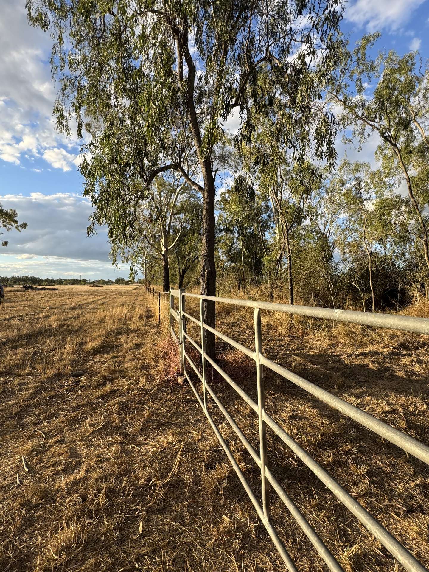 Lot 75 Little Road, Westwood For Sale by Farmbuy.com - image 19