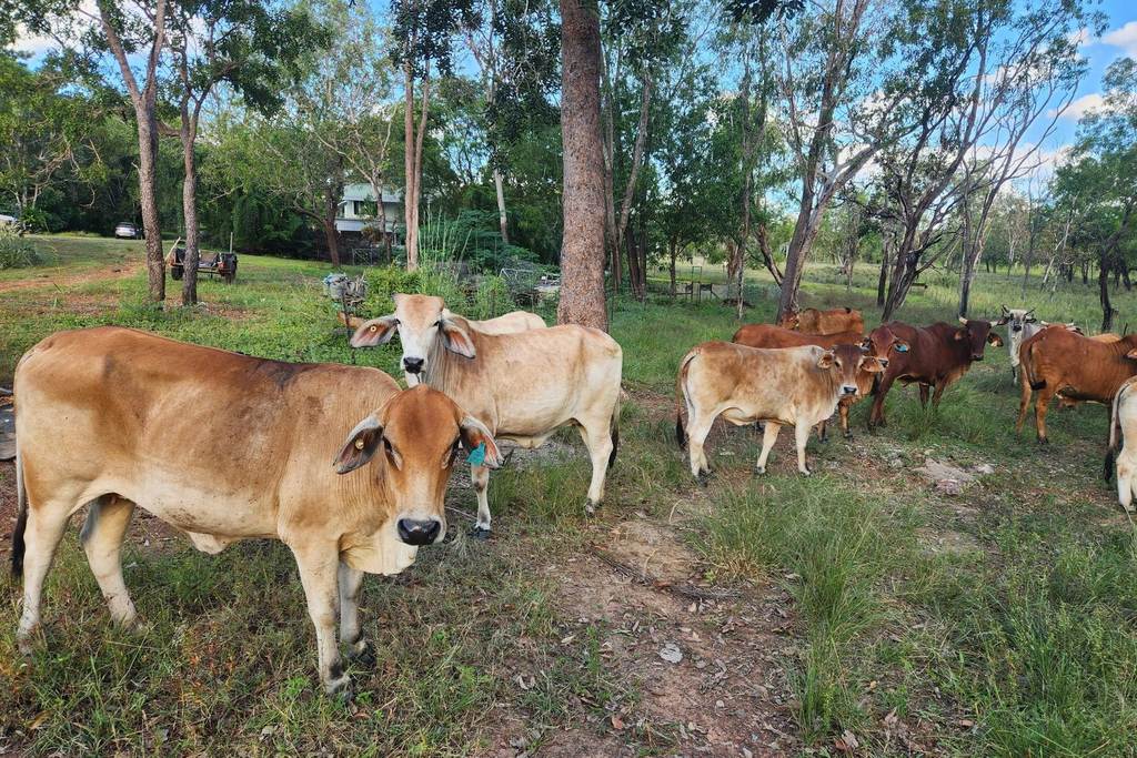 680 Miles Road, Batchelor NT 0845