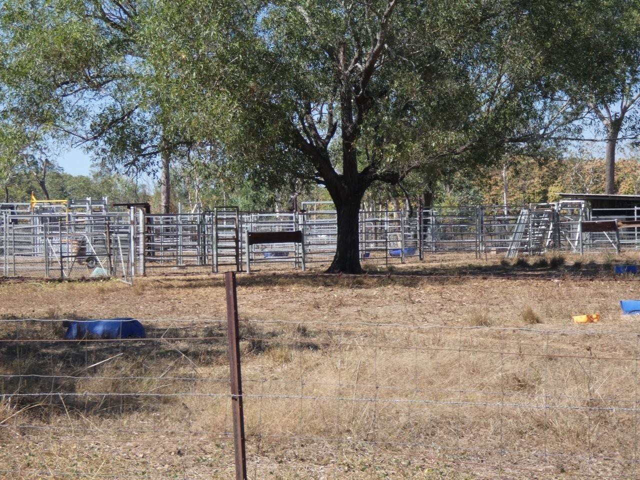 680 Miles Road, Batchelor For Sale by Farmbuy.com - image 31