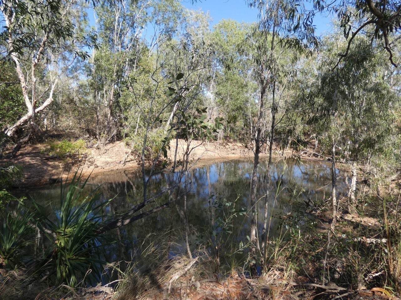 680 Miles Road, Batchelor For Sale by Farmbuy.com - image 27