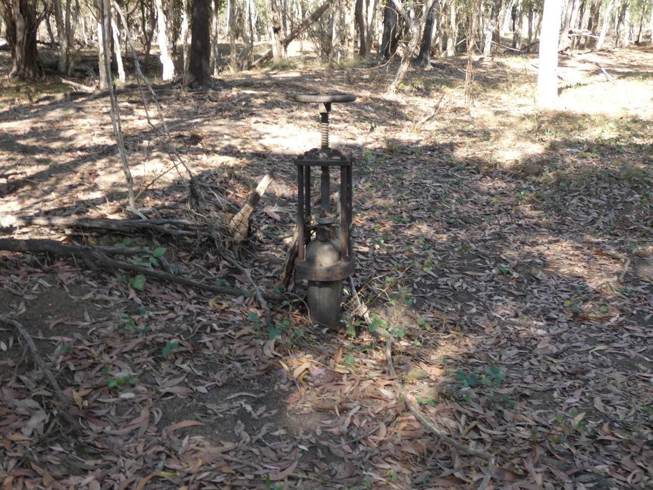 680 Miles Road, Batchelor For Sale by Farmbuy.com - image 23