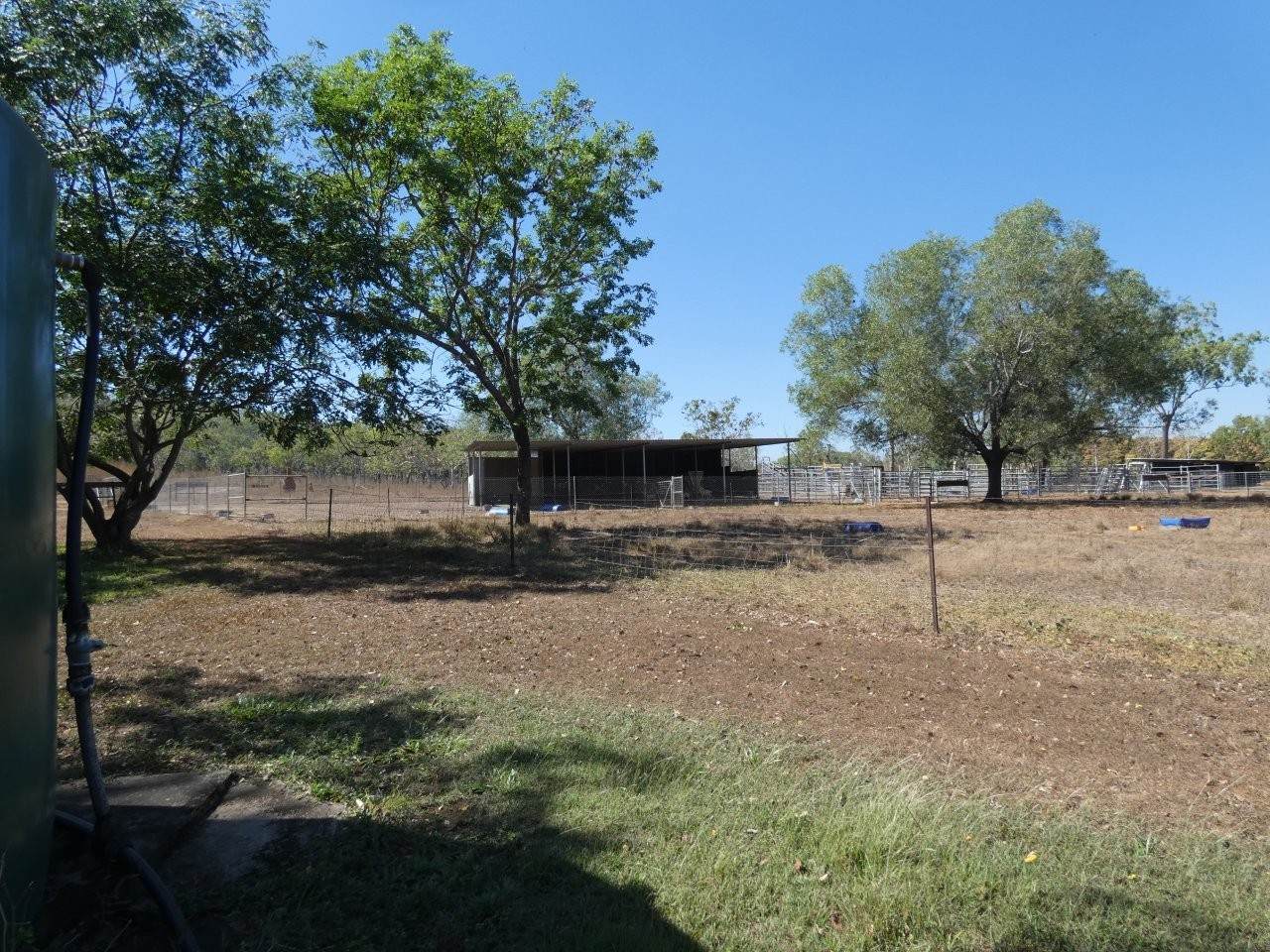 680 Miles Road, Batchelor For Sale by Farmbuy.com - image 28