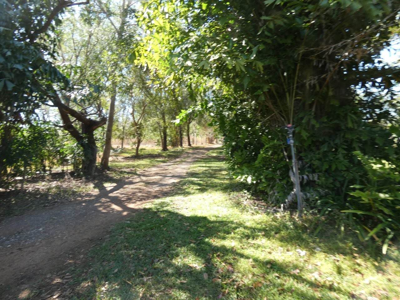 680 Miles Road, Batchelor For Sale by Farmbuy.com - image 22