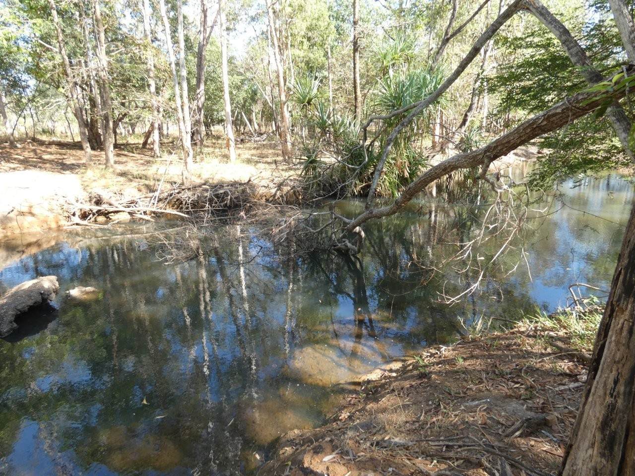 680 Miles Road, Batchelor For Sale by Farmbuy.com - image 26