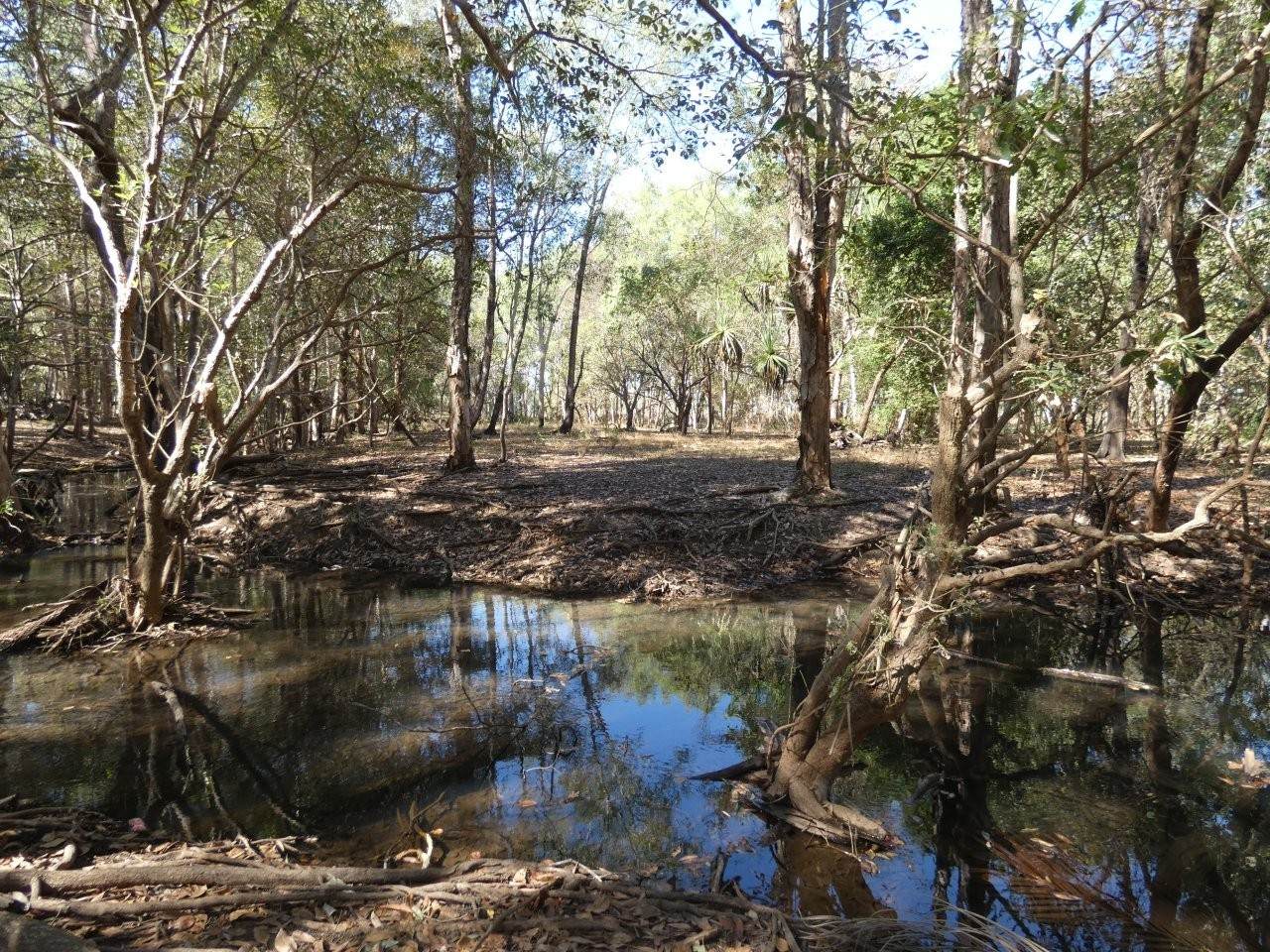 680 Miles Road, Batchelor For Sale by Farmbuy.com - image 29