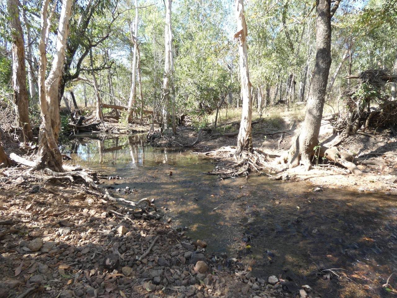 680 Miles Road, Batchelor For Sale by Farmbuy.com - image 25