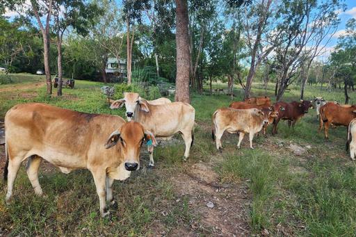 680 Miles Road, Batchelor NT 0845