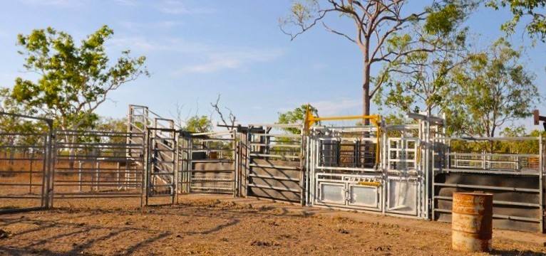 680 Miles Road, Batchelor For Sale by Farmbuy.com - image 32