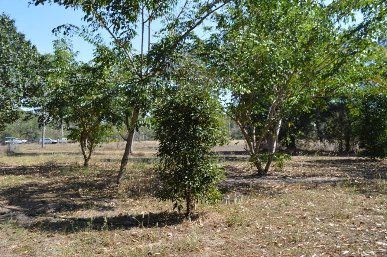 55 Southport Road, Tumbling Waters For Sale by Farmbuy.com - image 8