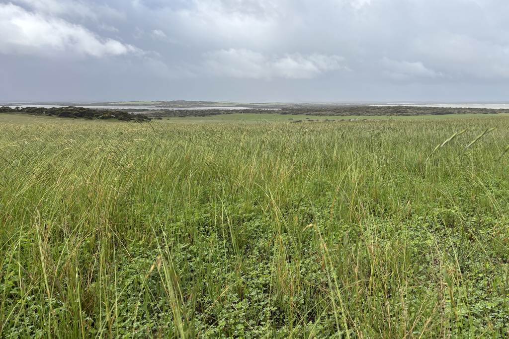Lot 11 Sceale Bay Road, Yanerbie SA 5680