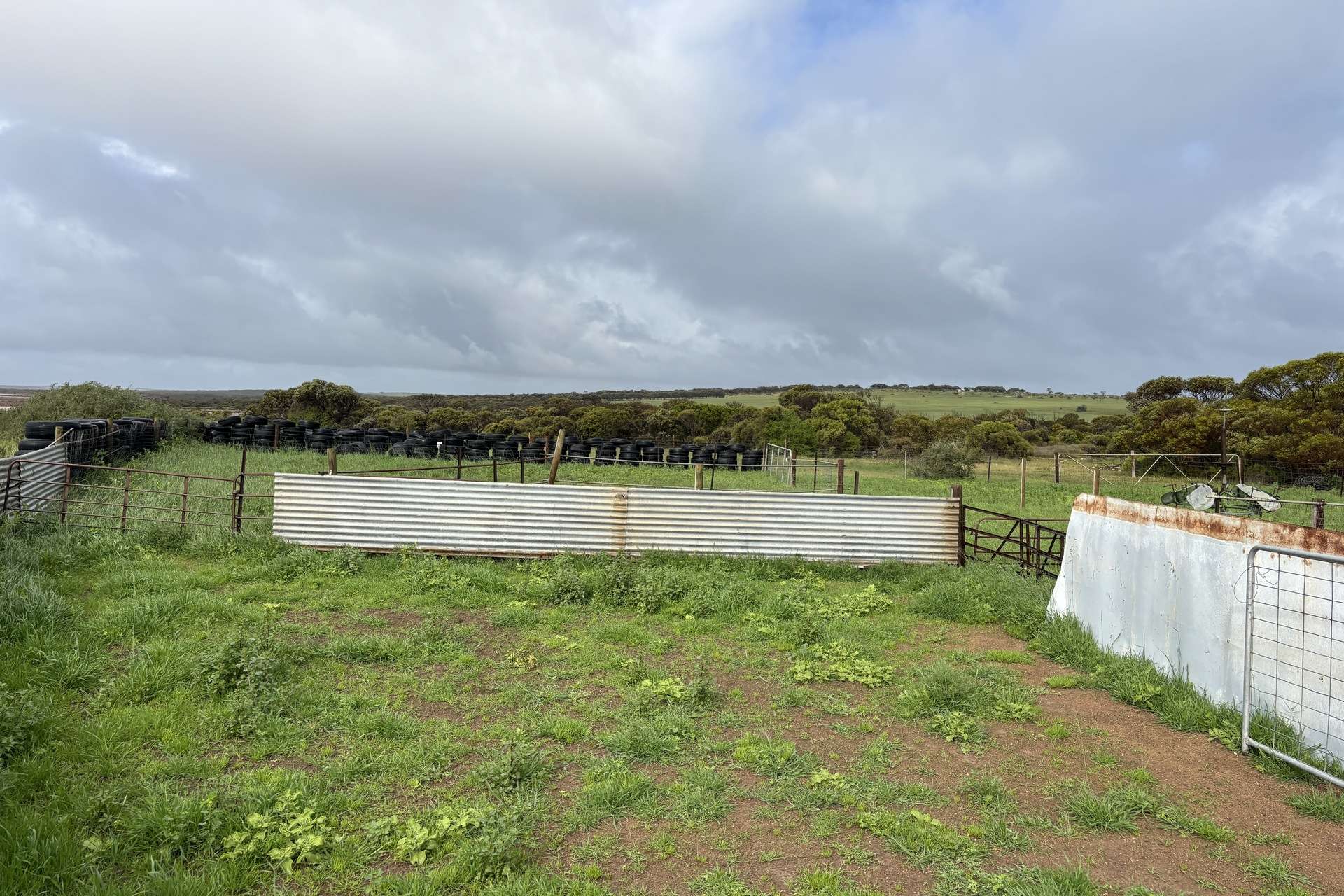 Lot 11 Sceale Bay Road, Yanerbie For Sale by Farmbuy.com - image 16