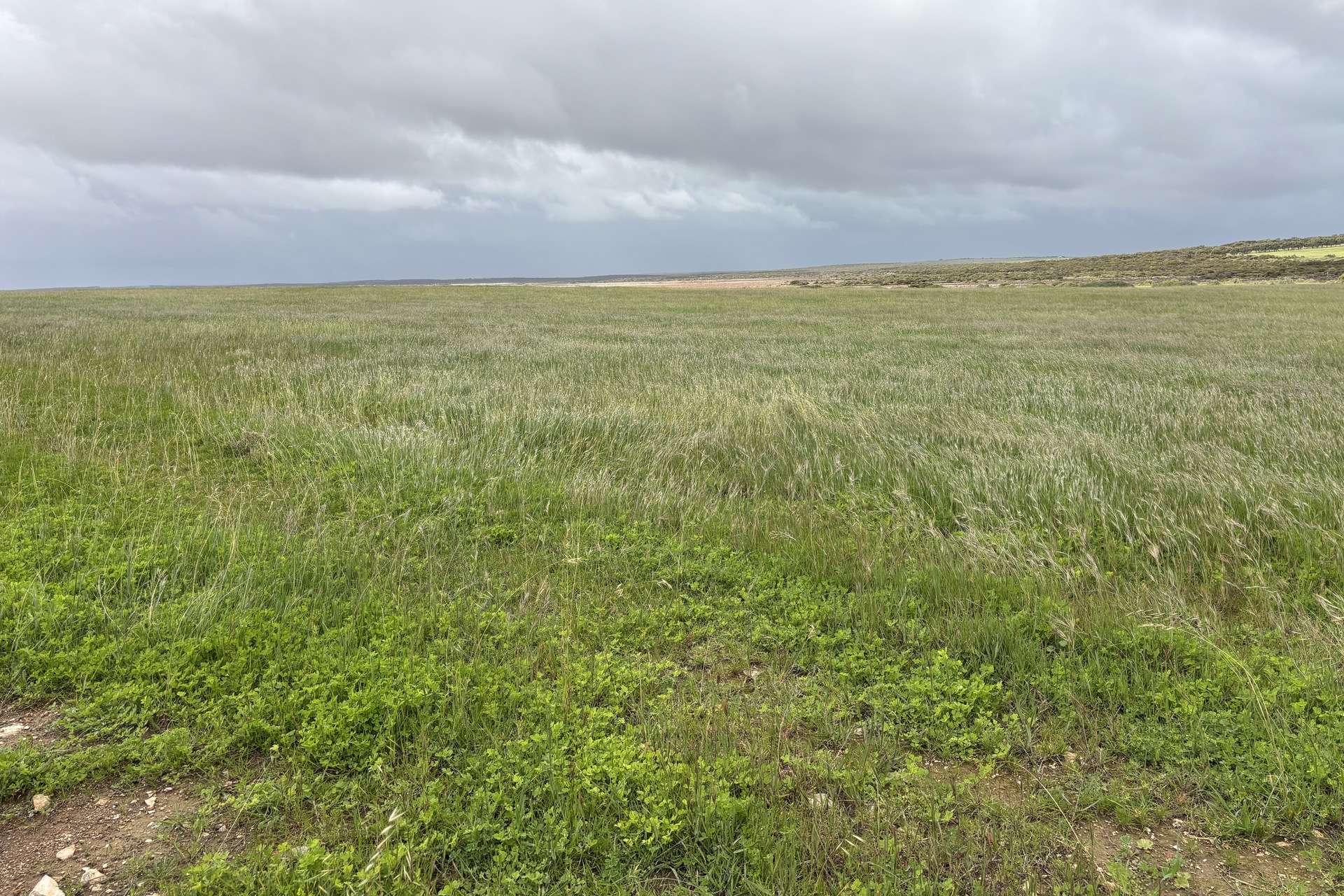Lot 11 Sceale Bay Road, Yanerbie For Sale by Farmbuy.com - image 10