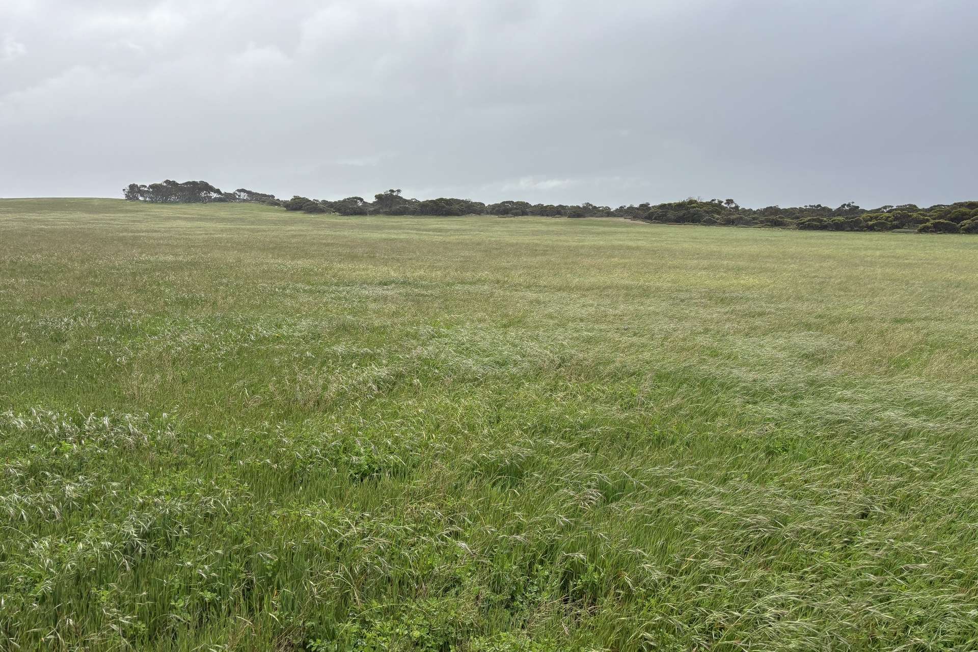 Lot 11 Sceale Bay Road, Yanerbie For Sale by Farmbuy.com - image 14