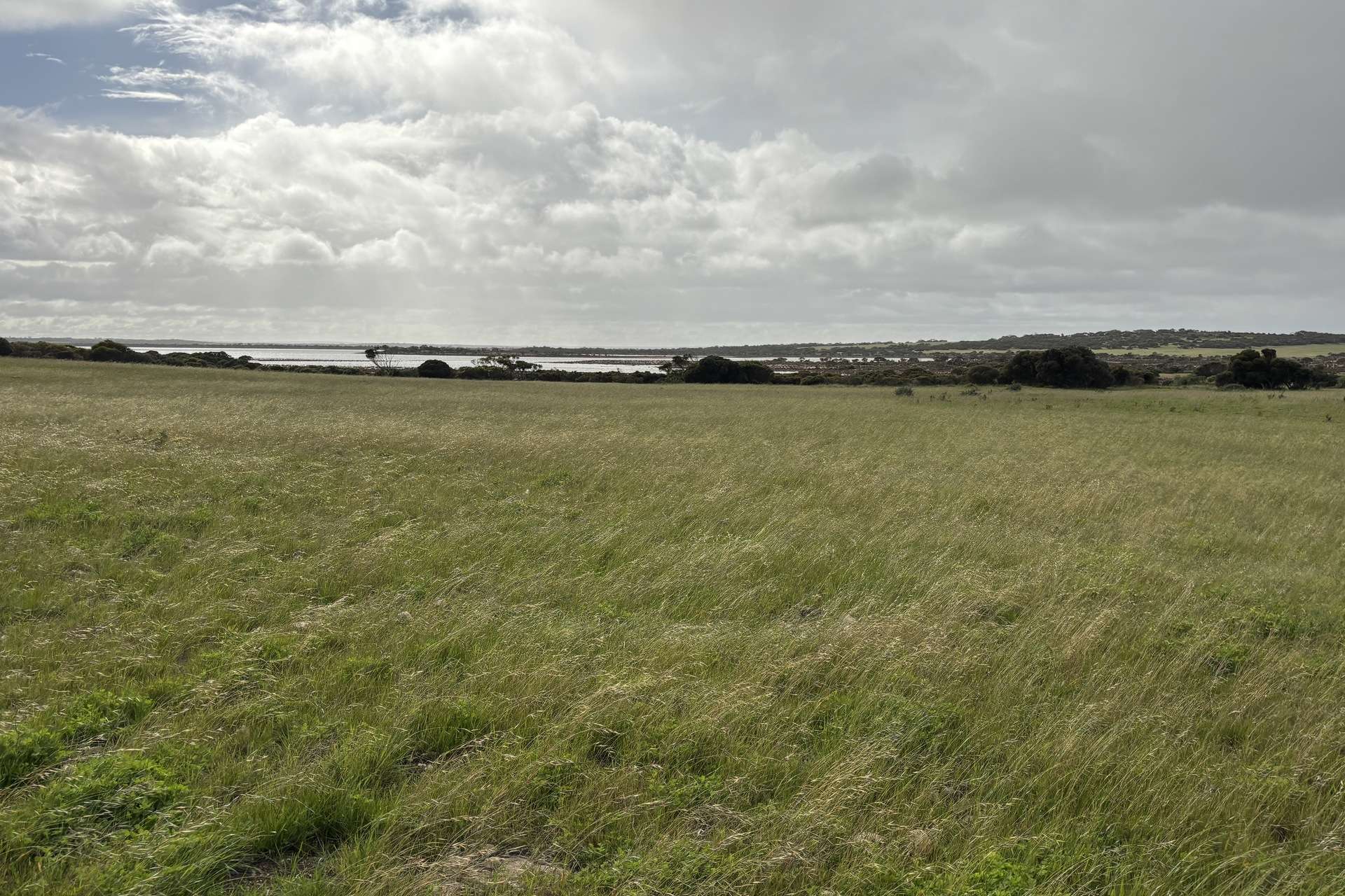 Lot 11 Sceale Bay Road, Yanerbie For Sale by Farmbuy.com - image 22