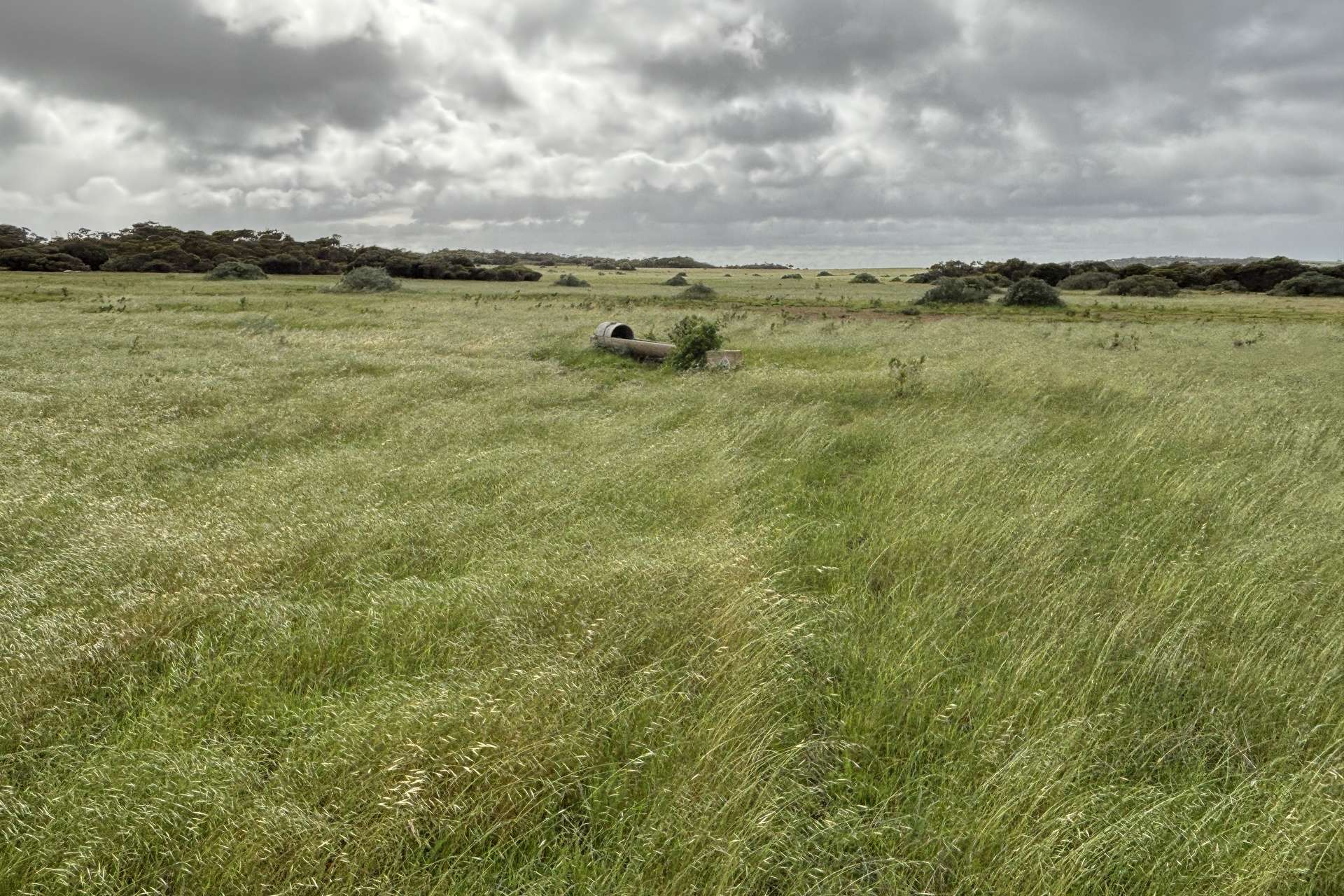 Lot 11 Sceale Bay Road, Yanerbie For Sale by Farmbuy.com - image 2