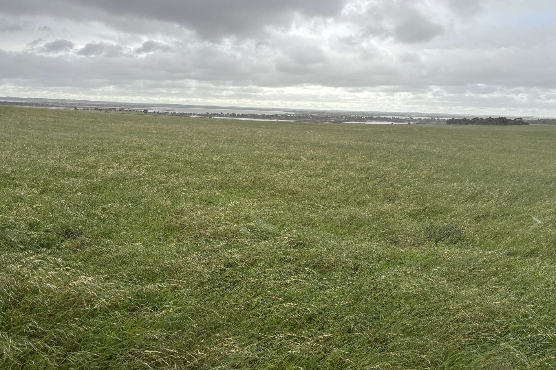 Lot 11 Sceale Bay Road, Yanerbie For Sale by Farmbuy.com - image 6