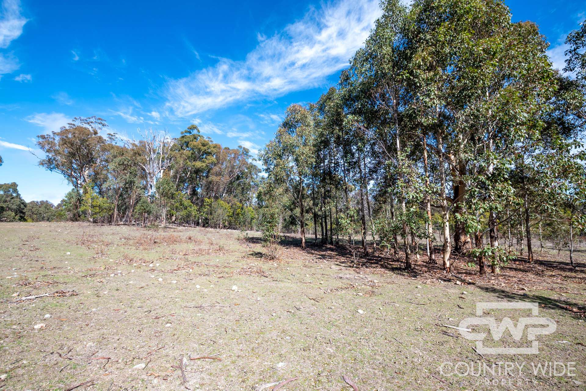 454 Silent Grove Road, Torrington For Sale by Farmbuy.com - image 6
